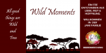 Wild Moments | Himbeer Johannisbeer | Rooibostee